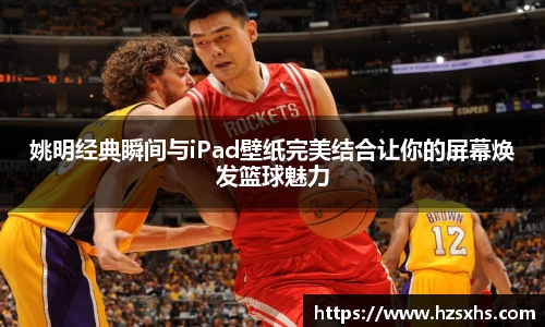 姚明经典瞬间与iPad壁纸完美结合让你的屏幕焕发篮球魅力