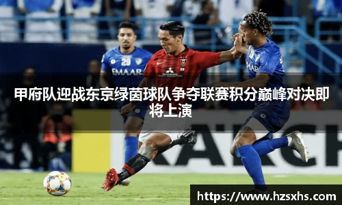 甲府队迎战东京绿茵球队争夺联赛积分巅峰对决即将上演